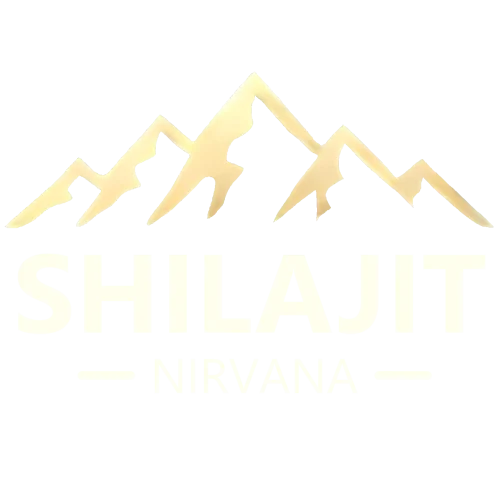 nirvanaActivityLogo1440x1440Clear